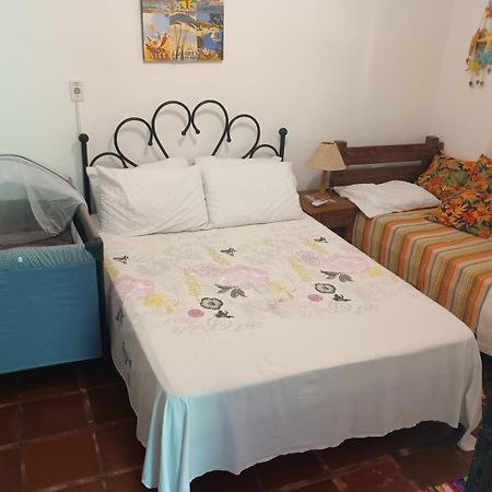 Casa No Morro - Charme Em Meio A Natureza Pertinho Da Praia 3 Dormitorios Sao Sebastiao  Ngoại thất bức ảnh